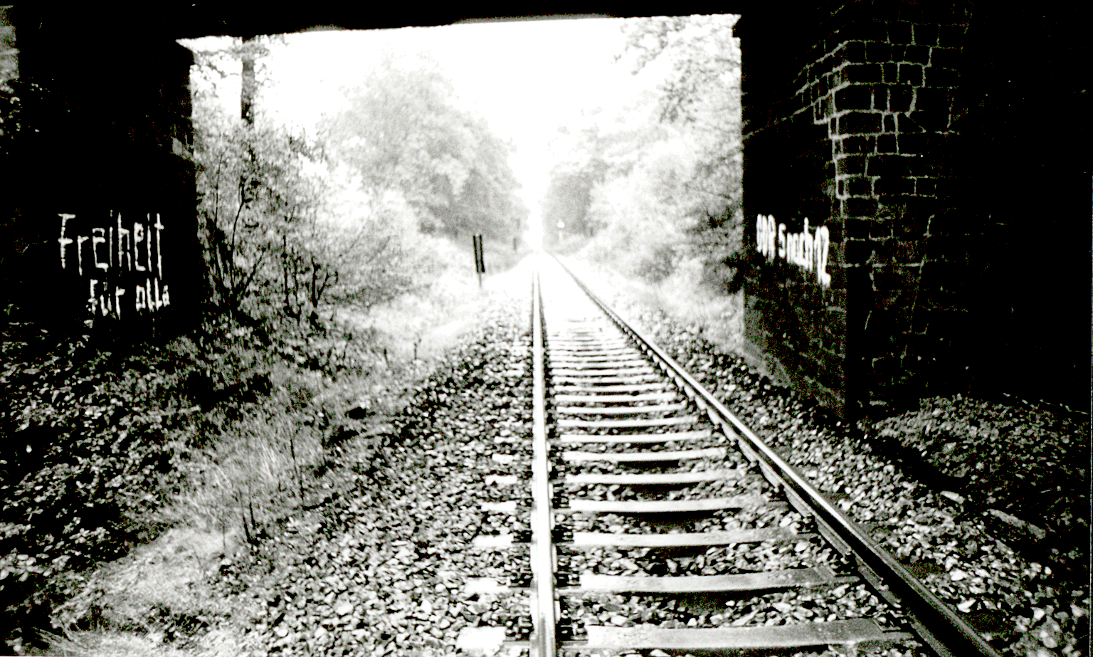 Auf dem schwarzweißen Lichtbild ist ein Gleisstrang abgebildet, der zwischen dichter Vegetation verläuft. Im Vordergrund zwei Brückenpfeiler, zwischen denen die Bahnstrecke verläuft, zu sehen. Der linke Brückenpfeiler wurde mit der Losung 'Freiheit für alle', der rechte Pfeiler mit 'DDR 5 nach 12' in weißer Farbe beschriftet.