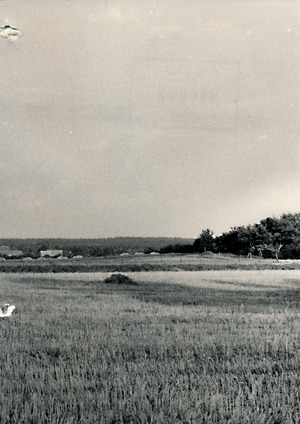 Untersuchungsexperiment zum Beschuss von Jagdflugzeugen