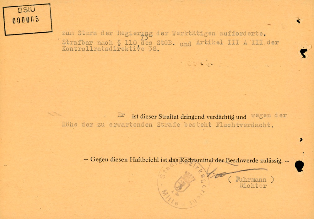 Haftbefehl gegen den Rostocker "Rädelsführer" Robert Dahlem