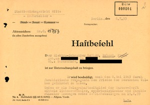 Haftbefehl gegen den Rostocker "Rädelsführer" Robert Dahlem